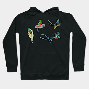 Quetzal Collection! Hand Painted Watercolor Quetzals Hoodie